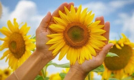 Kensing Unveils ‘Sun E’: A Sustainable Spark in the Vitamin E Market