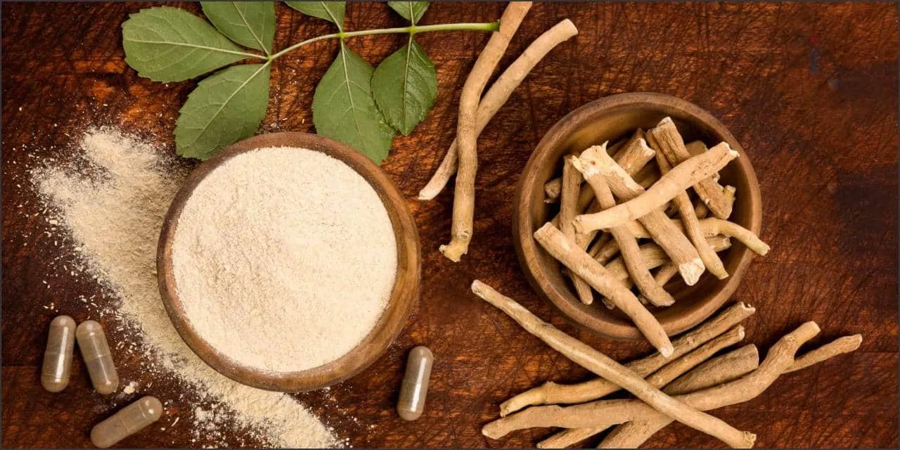 Ashwagandha Improves Memory in Adults with Mild Cognitive Impairment