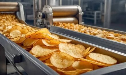 How to Start Small-Scale Potato Chips Factory