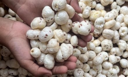 Makhana Board: Push to Traditional Superfood into Global Power Snack