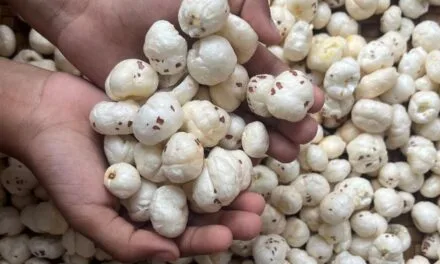 Makhana Board: Push to Traditional Superfood into Global Power Snack