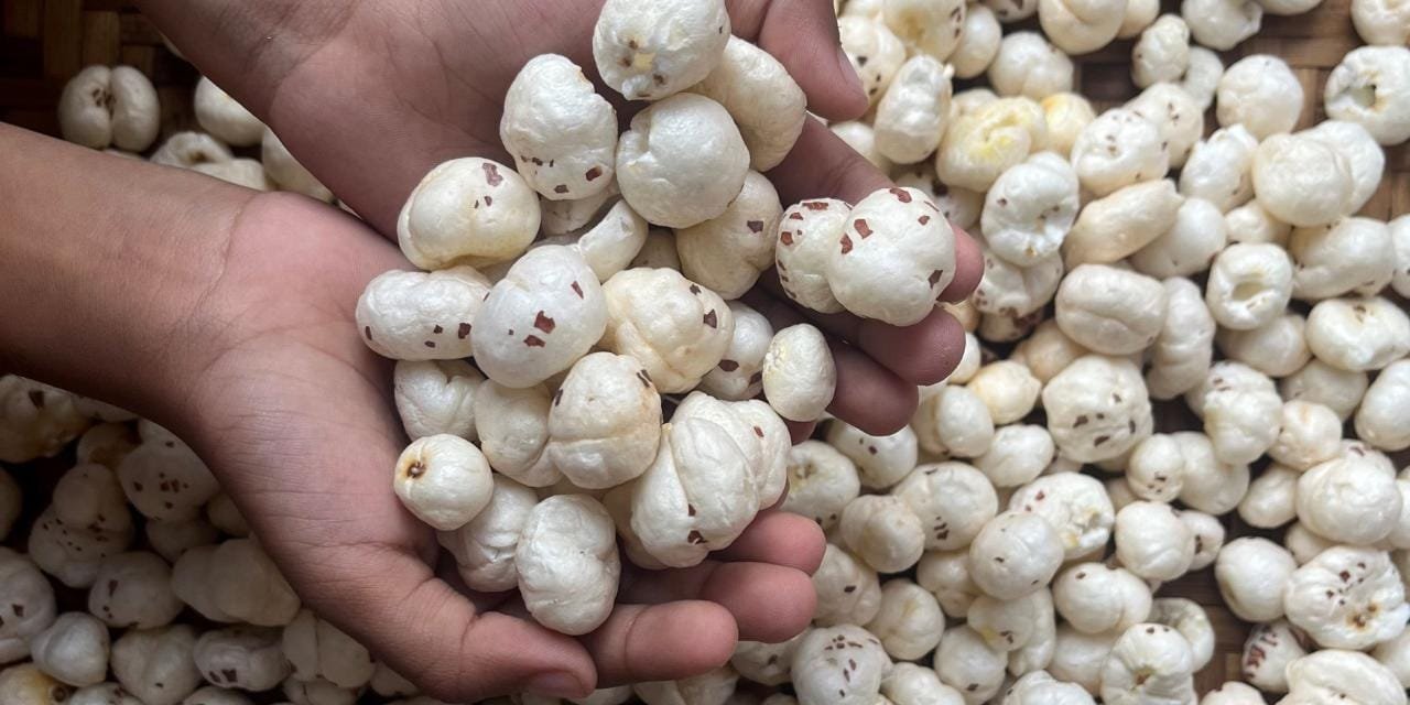 Makhana Board: Push to Traditional Superfood into Global Power Snack