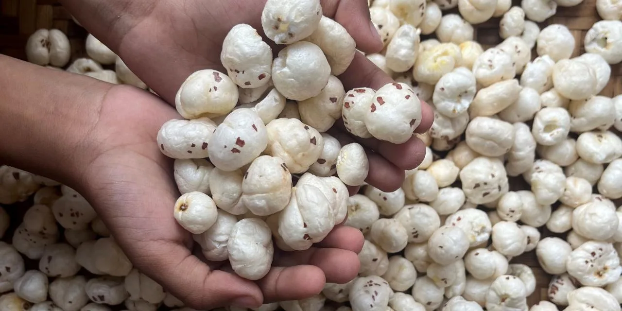 Makhana Board: Push to Traditional Superfood into Global Power Snack