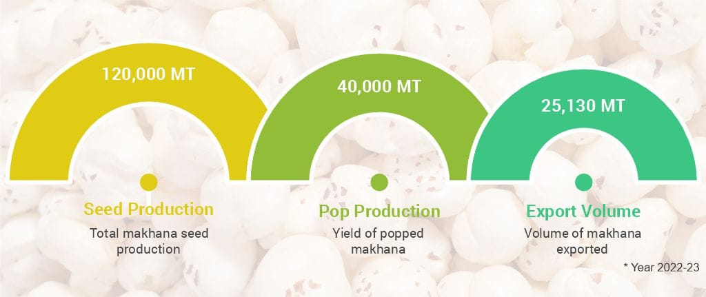Makhana Board: Push to Traditional Superfood into Global Power Snack makhana-production-and-export