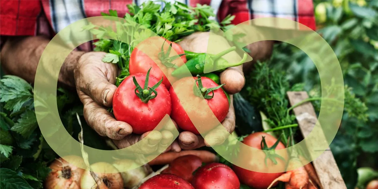 World’s Most Ethical Food & Beverage Companies | Sustainable Food Brands