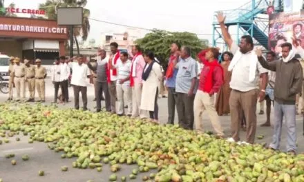 Tamil Nadu Mango Farmers Struggle as Pulp Factories Halt Procurement, Exports Decline