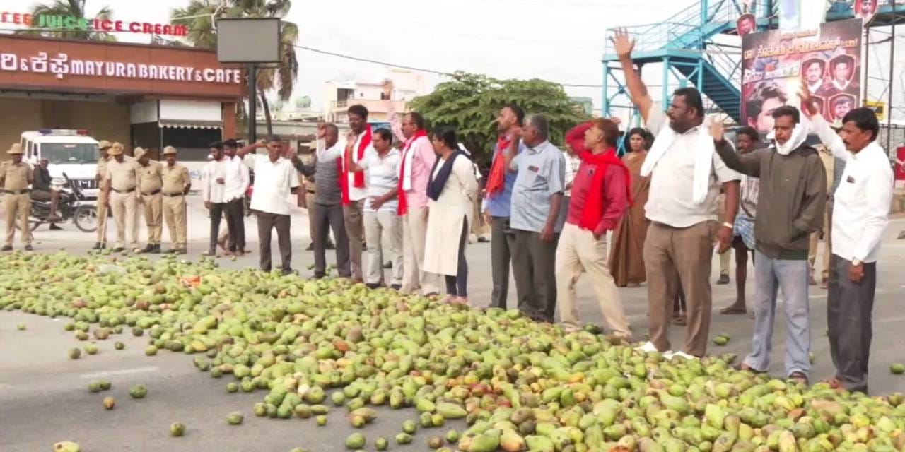 Tamil Nadu Mango Farmers Struggle as Pulp Factories Halt Procurement, Exports Decline