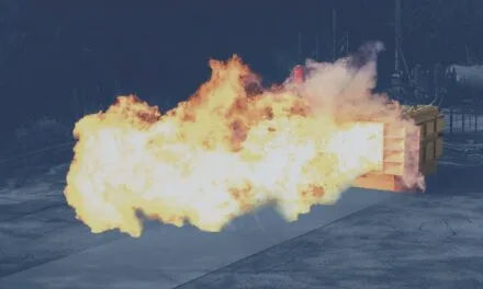 Combustible Food Dust: A Hazard That Cannot Be Ignored