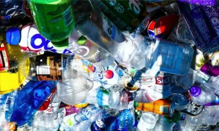 PET Recyclers Urge Immediate Enforcement of Recycled PET Mandate