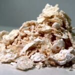 Japanese Scientists Develop Biodegradable Plastic Alternative Using Bacteria
