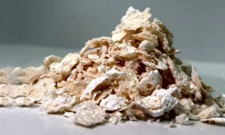 Japanese Scientists Develop Biodegradable Plastic Alternative Using Bacteria