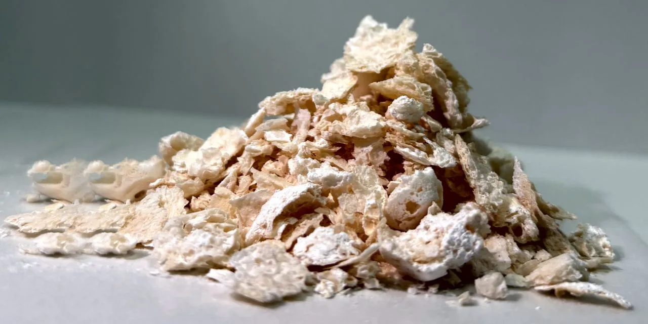 Japanese Scientists Develop Biodegradable Plastic Alternative Using Bacteria