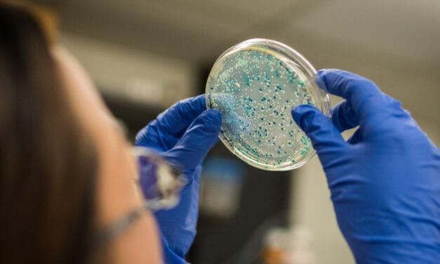 Japanese Scientists Develop Biodegradable Plastic Alternative Using Bacteria