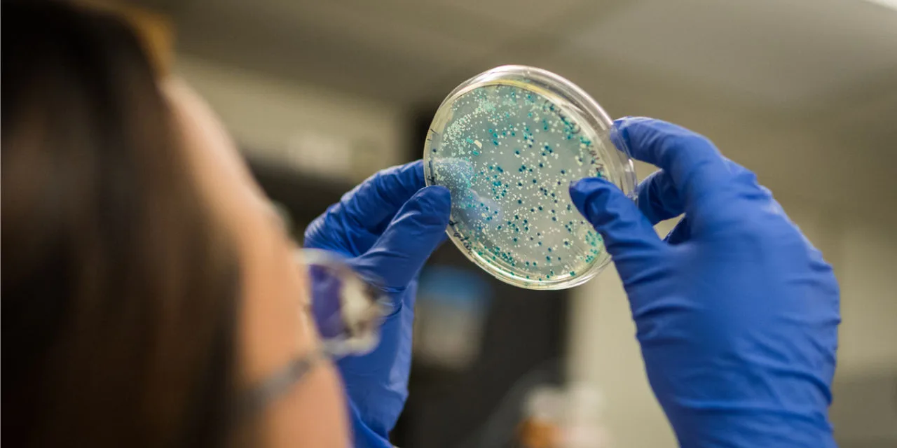 Japanese Scientists Develop Biodegradable Plastic Alternative Using Bacteria