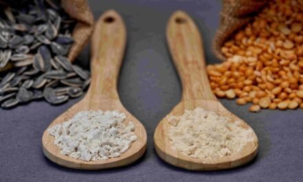 Burcon Pea and Sunflower Proteins Outshine in Plant-Based Cheese Study