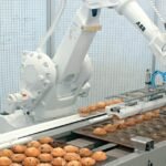Automation in Food Manufacturing: How AI and Robotics Are Reshaping the Industry
