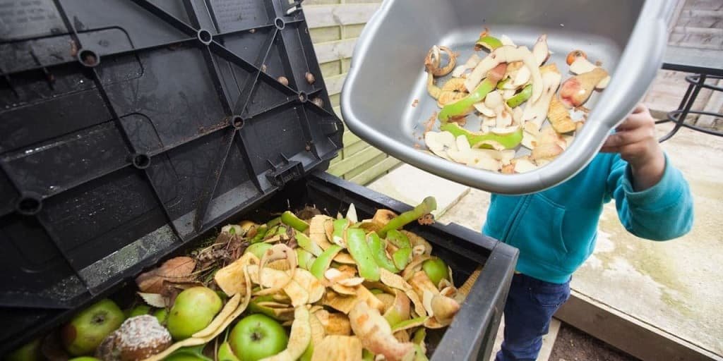 food-waste-reduction-and-edible-innovations