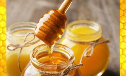 Overview of Honey: Composition, History, Cultural Significance, and Therapeutic Benefits