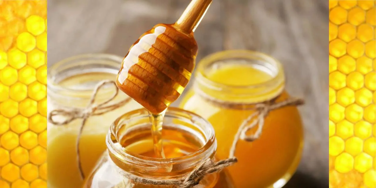 Overview of Honey: Composition, History, Cultural Significance, and Therapeutic Benefits