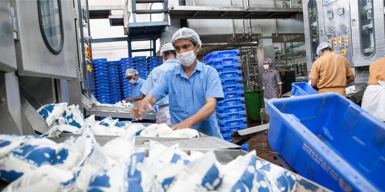 Milma Signed MoU to Export Dairy Products to Australia and New Zealand