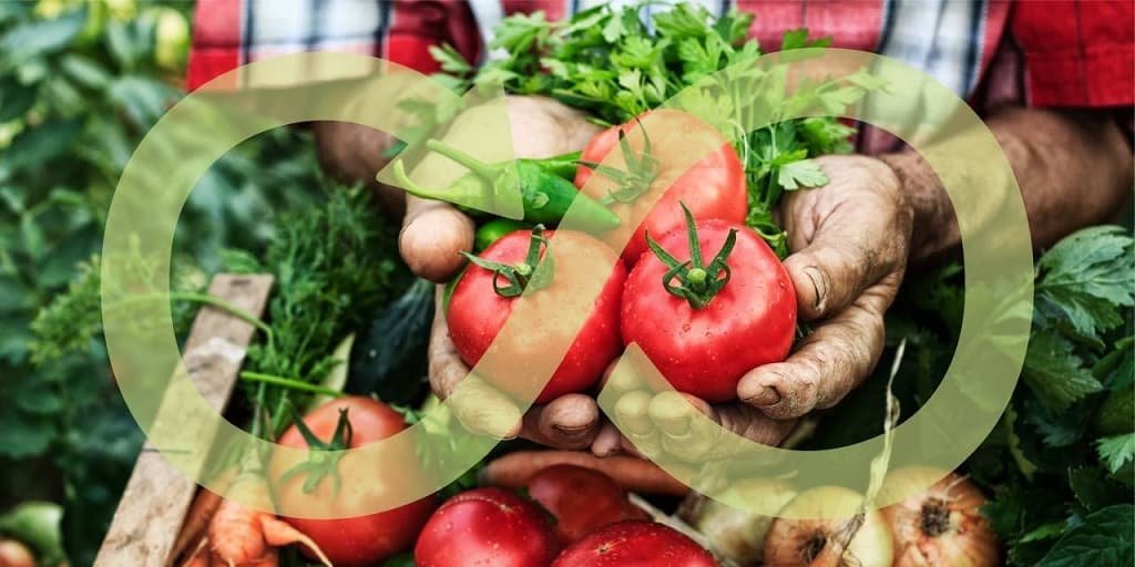 ethical-food-beverage-companies