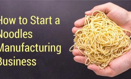 How to Start a Noodles Manufacturing Business