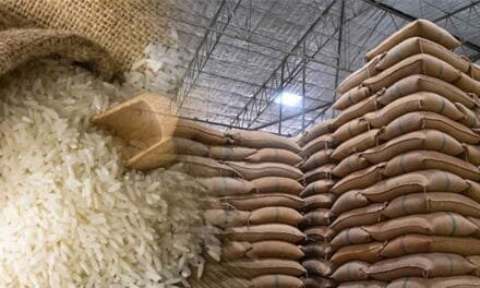 Indian Rice Exports to US Face Higher Tariffs Amid Trump Dumping Claims