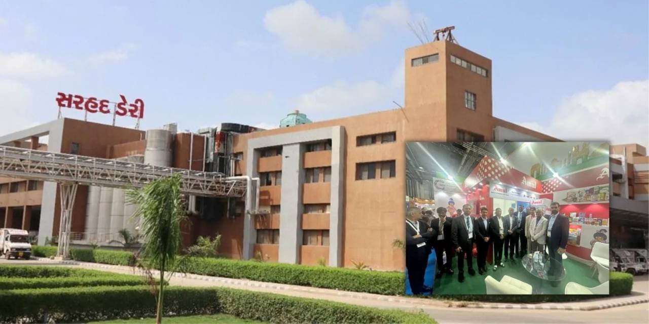 India’s First Camel Milk Plant Strengthens Farmer Incomes