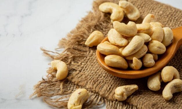 All India Cashew Association Flags Surge in Illegal Cashew Kernel Imports
