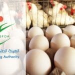 Saudi Arabia’s SFDA bans poultry, egg imports from India, 39 other countries
