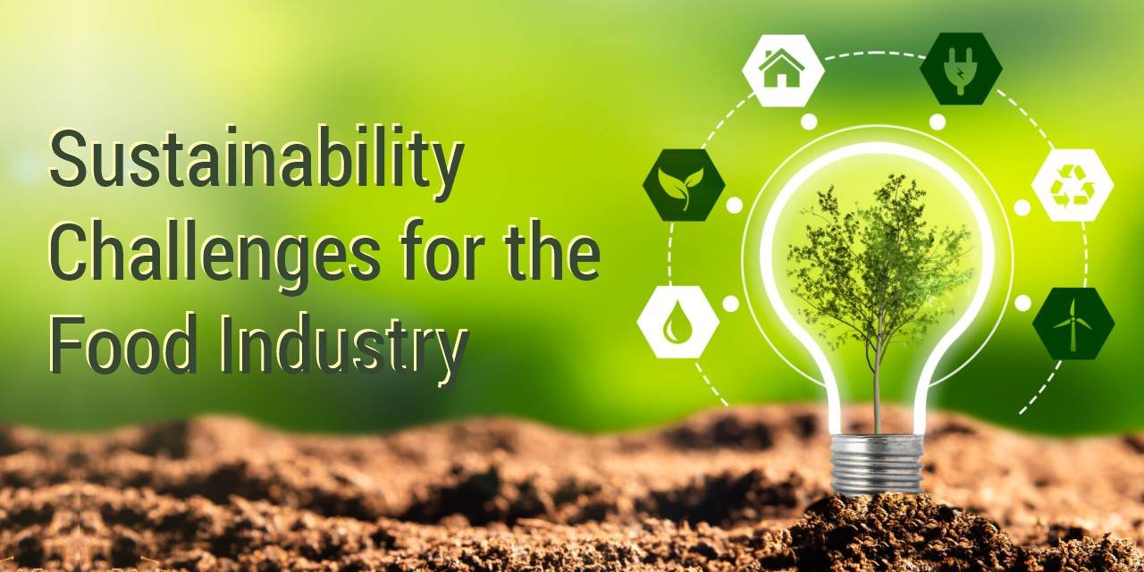 Sustainability Challenges for Food Industry: From Supply Chains to Consumers