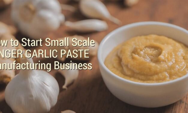 How to Start Small Scale Ginger Garlic Paste Making Business