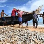 India’s Fish Production Doubles in a Decade, Strengthening Global Position