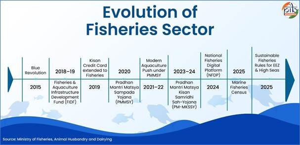 India’s Fish Production Doubles in a Decade, Strengthening Global Position fisheries-sector-in-India-1024