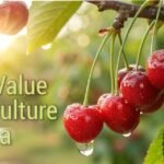 High-Value Horticulture in India: A Vision 2030 Blueprint for Self-Reliance