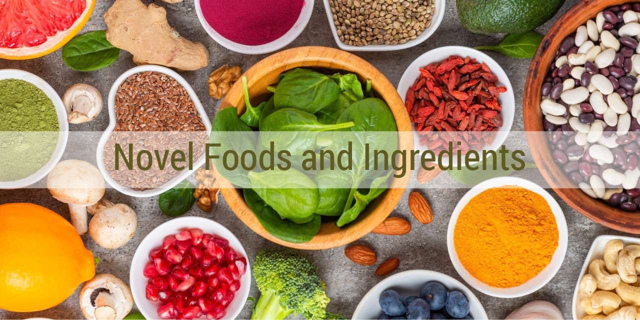 Bridging Tradition and Science: Novel Foods and Ingredients