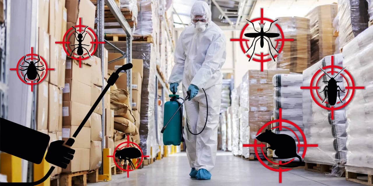 Pest Management in Food Facilities: Key Controls & Best Practices
