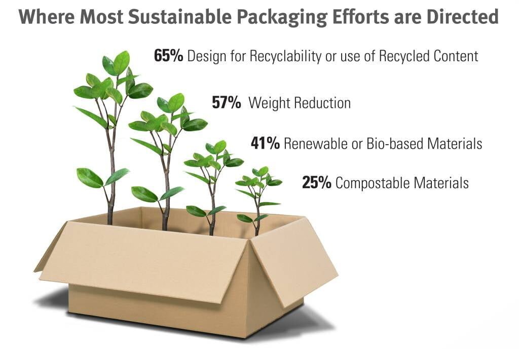 Sustainable Packaging: Future Prospects sustainable-packaging-efforts